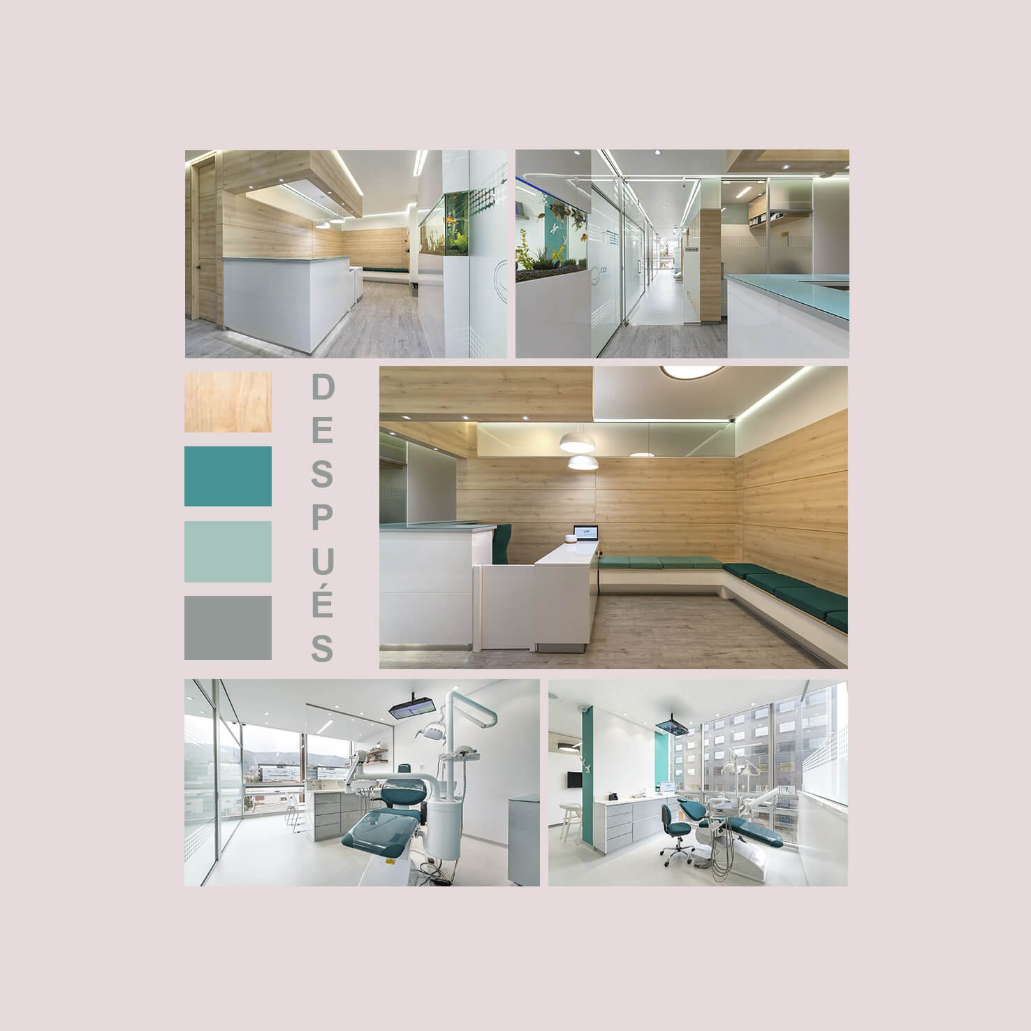 Clínica Odontológica COI