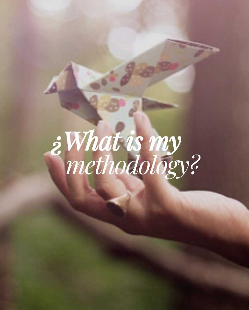 WHAT IS MY METHODOLOGY?