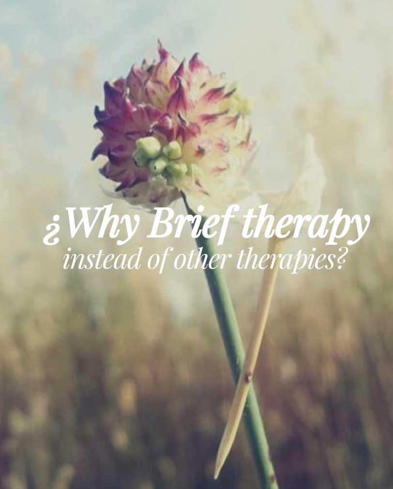 WHY BRIEF THERAPY INSTEAD OF OTHER THERAPIES?