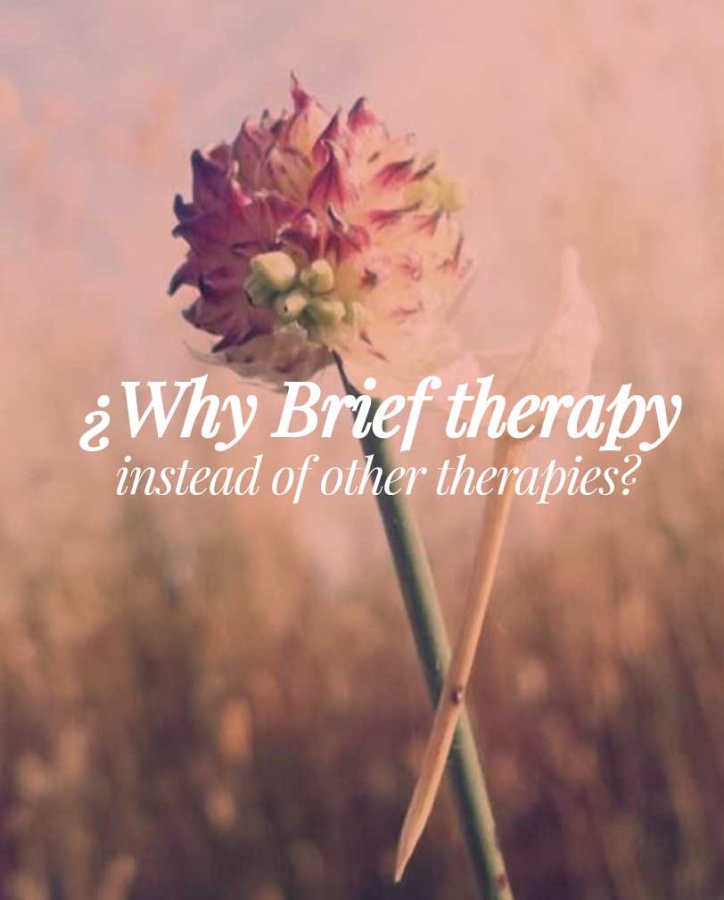 WHY BRIEF THERAPY INSTEAD OF OTHER THERAPIES?